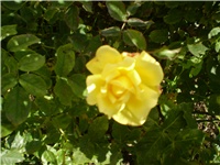 855f5022-Picture 659.jpg
